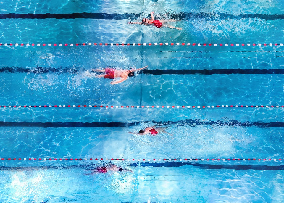 Schwimmer ziehen ihre Bahnen durch das Schwimmbad.