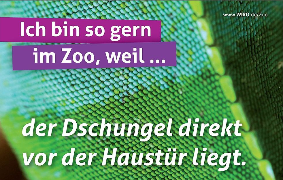 Zoo-Kampagne