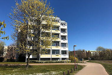 Bild zu 1-Zimmer-Wohnung in Rostock-Groß Klein
